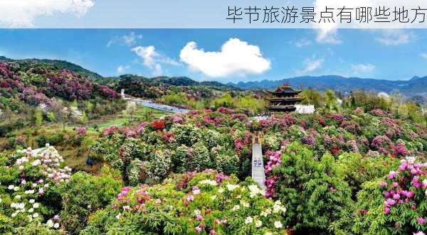 毕节旅游景点有哪些地方