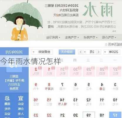 今年雨水情况怎样