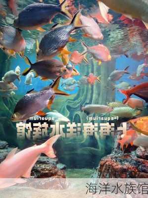 海洋水族馆