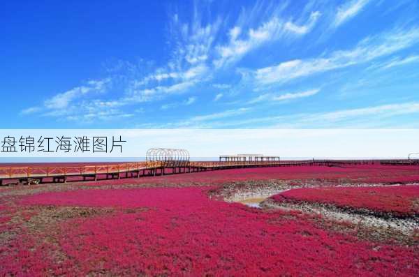 盘锦红海滩图片