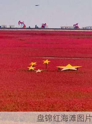 盘锦红海滩图片