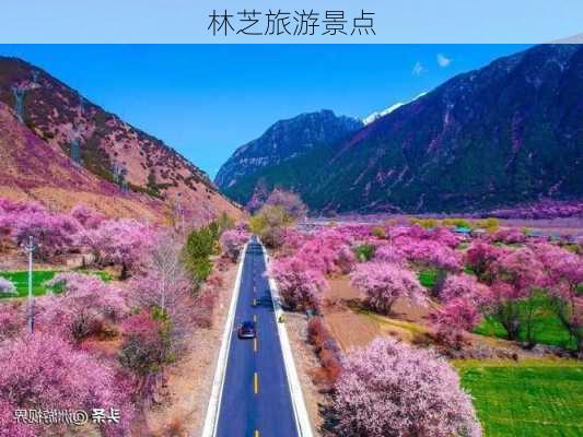 林芝旅游景点