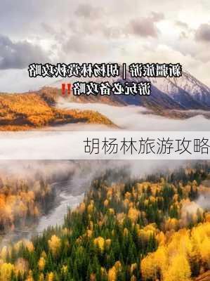 胡杨林旅游攻略