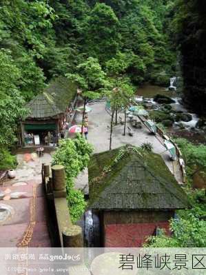 碧峰峡景区