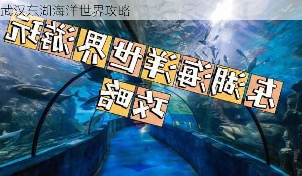 武汉东湖海洋世界攻略