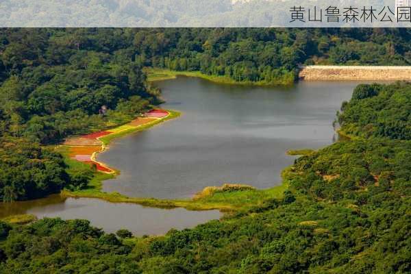 黄山鲁森林公园