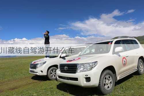 川藏线自驾游开什么车