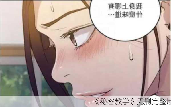 《秘密教学》无删完整版