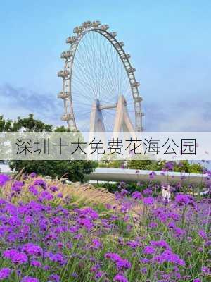 深圳十大免费花海公园