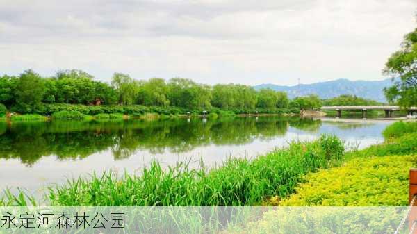 永定河森林公园