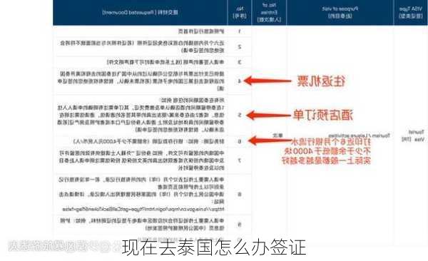 现在去泰国怎么办签证