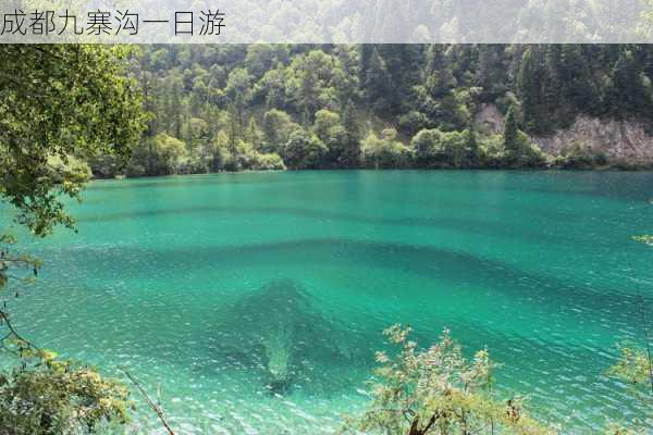 成都九寨沟一日游