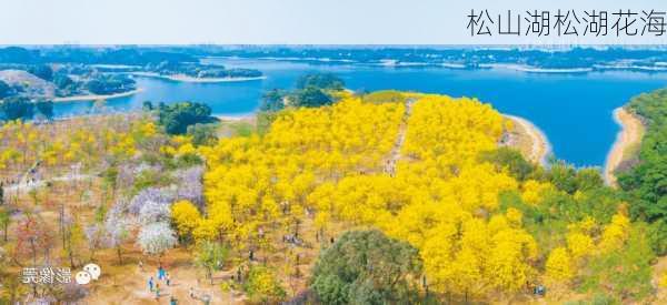 松山湖松湖花海