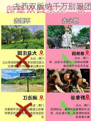 去西双版纳千万别跟团