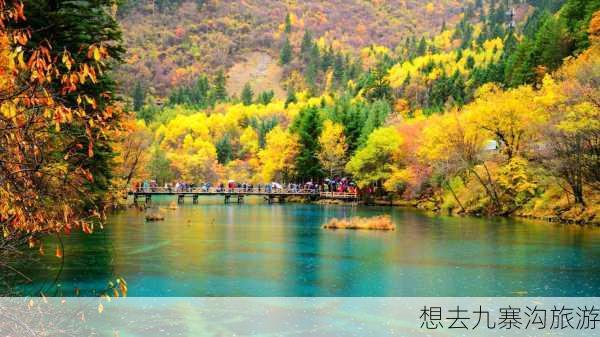 想去九寨沟旅游