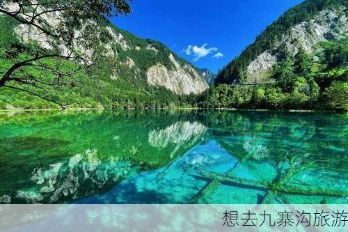 想去九寨沟旅游