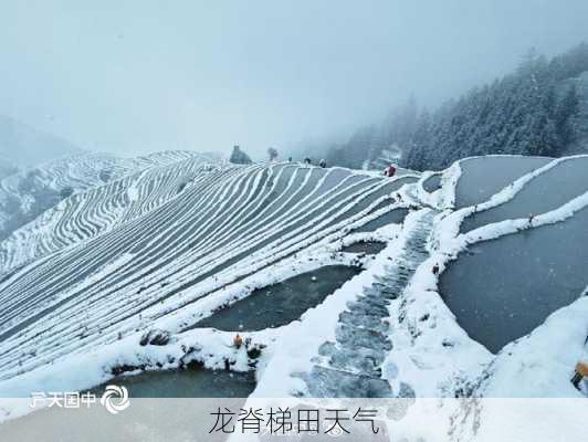 龙脊梯田天气