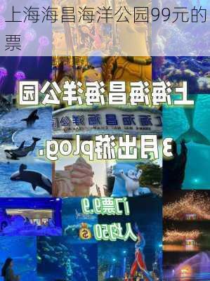 上海海昌海洋公园99元的票