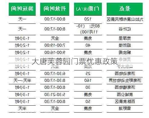 大唐芙蓉园门票优惠政策