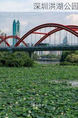 深圳洪湖公园