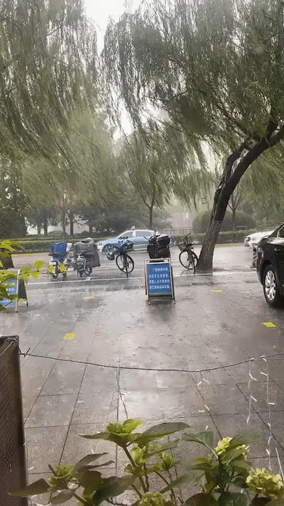 山东明后两天大暴雨