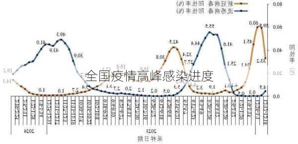 全国疫情高峰感染进度