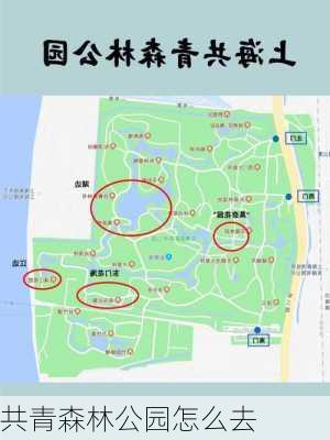 共青森林公园怎么去