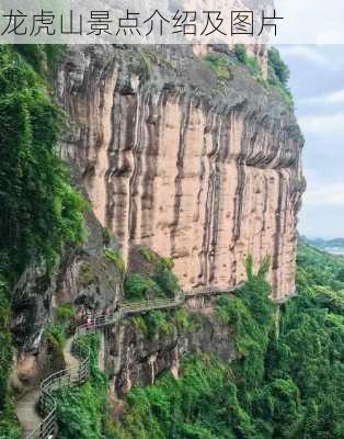 龙虎山景点介绍及图片