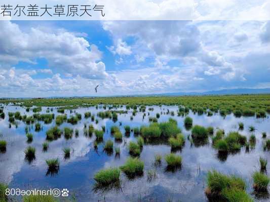 若尔盖大草原天气