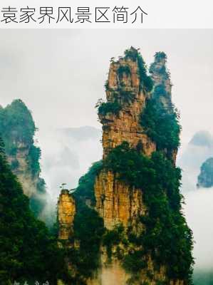 袁家界风景区简介