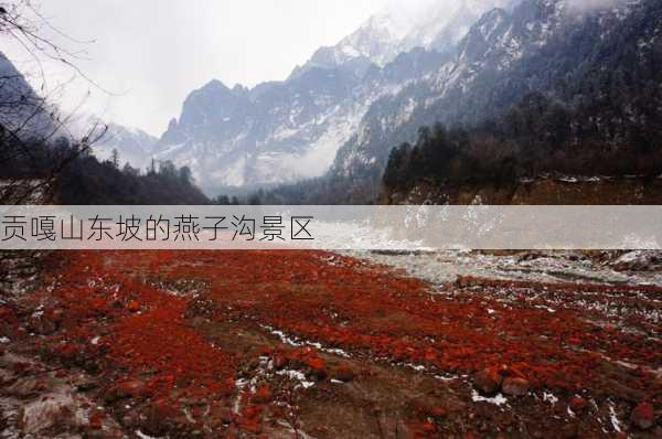 贡嘎山东坡的燕子沟景区