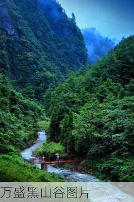 万盛黑山谷图片