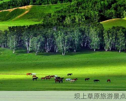 坝上草原旅游景点