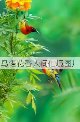 鸟语花香人间仙境图片