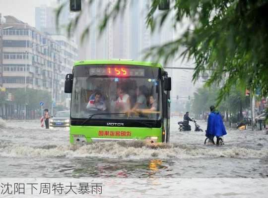 沈阳下周特大暴雨