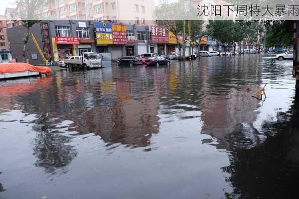 沈阳下周特大暴雨