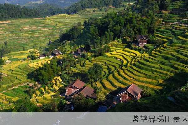 紫鹊界梯田景区