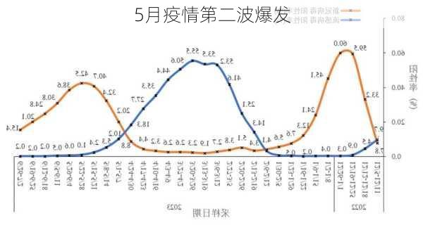 5月疫情第二波爆发