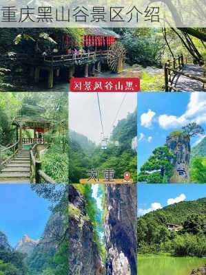 重庆黑山谷景区介绍