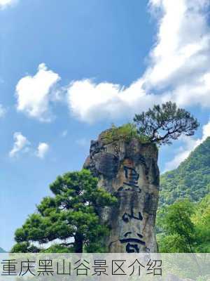 重庆黑山谷景区介绍