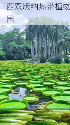 西双版纳热带植物园