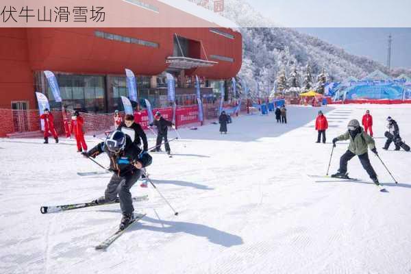 伏牛山滑雪场