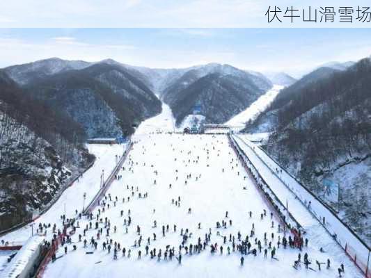 伏牛山滑雪场