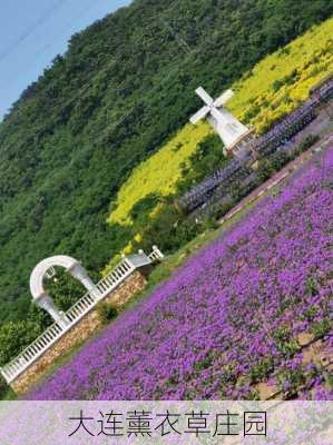 大连薰衣草庄园