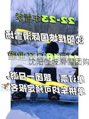 沈阳怪坡滑雪团购