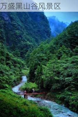 万盛黑山谷风景区