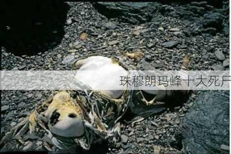 珠穆朗玛峰十大死尸