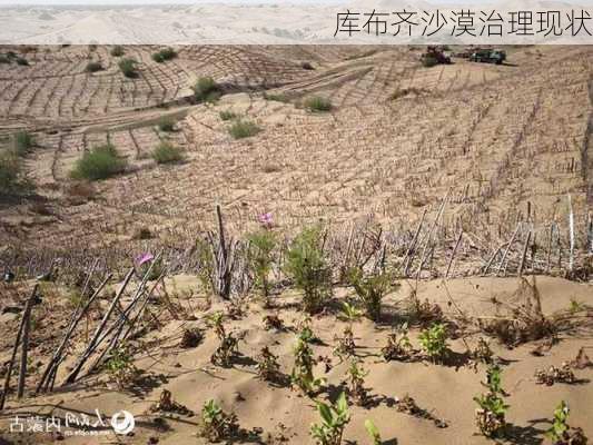 库布齐沙漠治理现状