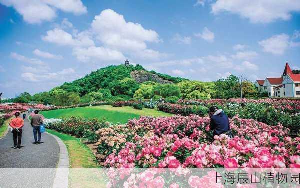 上海辰山植物园