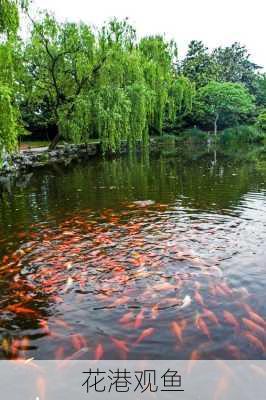 花港观鱼